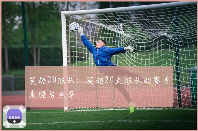英超20球队：英超20支球队的赛季表现与竞争