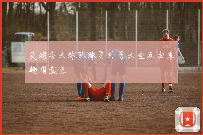 英超各大球队球员外号大全及由来趣闻盘点