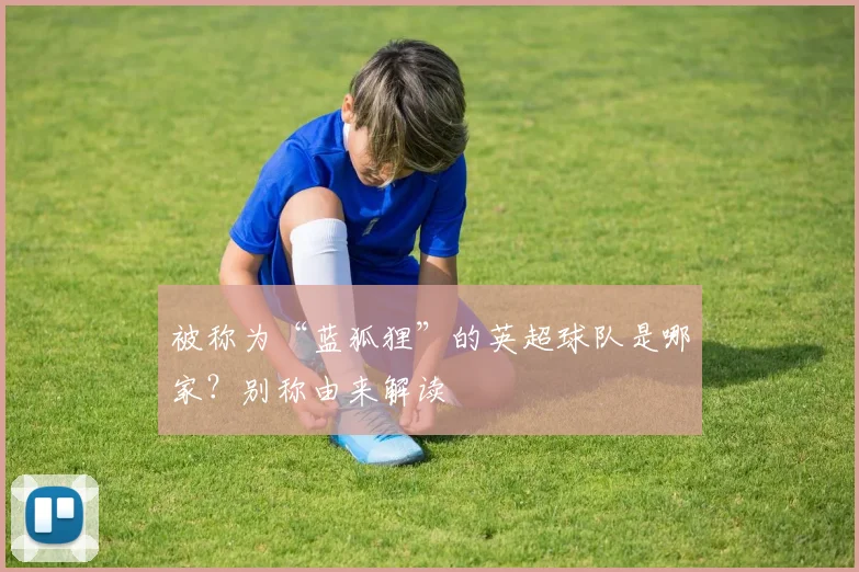 被称为“蓝狐狸”的英超球队是哪家？别称由来解读